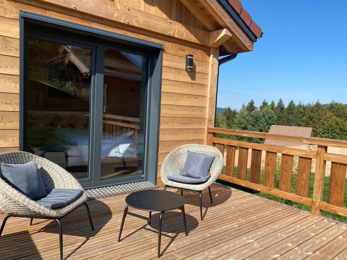 L'Adret Du Temps Chalet 10 Personnes 170M2 Gérardmer Exterior foto